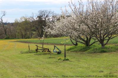 photographie “Le Jour ni l’Heure 3795 : Dans les champs — Plieux, Gers, Gascogne, mercredi 27 mars 2024, 16:09:44” par Renaud Camus — www.renaud-camus.net — Lomagne, En Lomagne, Gers, Gascogne, Plieux, champs, Dans les champs, printemps, arbres en fleurs, village, Aeberhard