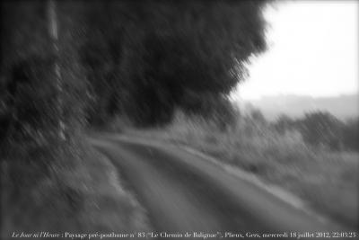 photographie “Le Jour ni l’Heure 5079 : Paysage pré-posthume n° 73 (“Le Chemin de Balignac”, Plieux, en Lomagne, Gers, Gascogne), mercredi 18 juillet 2012, 22:03:23” par Renaud Camus — www.renaud-camus.net — landscape, road, chemin de campagne, chemin, Feldweg, soir, evening, Gascony