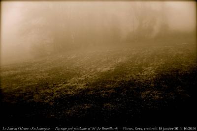 photographie “Le Jour ni l’Heure 9421 : En Lomagne — Paysage pré-posthume n° 94 (“Le Brouillard”) — La Garrière, Plieux, Gers, Gascogne, vendredi 18 janvier 2013, 16:28:36” par Renaud Camus — www.renaud-camus.net — landscape, preposthumous, fog, brume, brouillard, haie, La Garrière, champs, fields