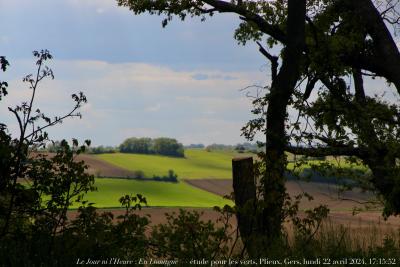 photographie “Le Jour ni l’Heure 5279 : En Lomagne — étude pour les verts, Plieux, Gers, Gascogne, lundi 22 avril 2024, 17:15:32” par Renaud Camus — www.renaud-camus.net — paysage, champs, bout des champs, Plieux, Gers, Gascogne, étude pour les verts, Lomagne, En Lomagne