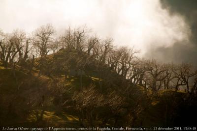 photographie “Le Jour ni l\'Heure 2403 : Paysage de l\'Appenin toscan, pentes du mont Faggiola, au-dessus de Coniale, commune de Firenzuola, province de Florence, Toscane, Italie, vendredi 23 décembre 2011, 13:48:49” par Renaud Camus — www.renaud-camus.net — landscape, montagnes, mountains, Toscana, Italia, arbres, trees, alberi, colle