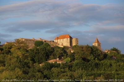 photographie “Le Jour ni l’Heure 6305 : En Lomagne — château de Gramont, XIIIe-XVIe s., Tarn-&-Garonne, samedi 13 mai 2023, 20:22:01” par Renaud Camus — www.renaud-camus.net — Gramont, château de Gramont, Tarn-et-Garonne, Lomagne, En Lomagne, Gascogne, A, Arratz, 13, mai, 2023