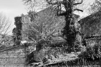 photographie “Le Jour ni l’Heure 4853 : vestiges d’un ancien château, XIIIe s. (Montfort ?), Layrac, en Brulhois, Lot-et-Garonne, mardi 28 mars 2023, 16:57:38” par Renaud Camus — www.renaud-camus.net — Layrac, château, Montfort, Brulhois, Agenais, Lot-et-Garonne