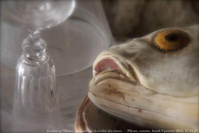 photographie “Le Jour ni l\'Heure 4073 : Enquête sur la réalité des choses — Plieux, cuisine, lundi 9 janvier 2012, 17:14:23” par Renaud Camus — www.renaud-camus.net — poisson, fish, pesce, verre, glass, bicchiere, nature morte, still life, kitchen