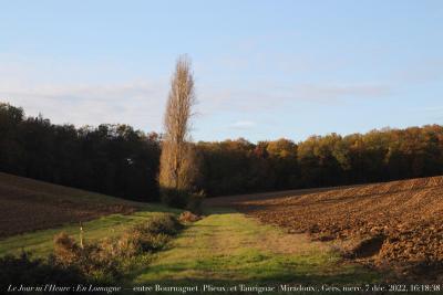 photographie “Le Jour ni l’Heure 1121 : En Lomagne — entre Bournaguet (Plieux), à gauche, et Taurignac (Miradoux), à droite, Gers, Gascogne, mercredi 7 décembre 2022, 16:18:38” par Renaud Camus — www.renaud-camus.net — paysage, Bournaguet, Plieux, Taurignac, Miradoux, Lomagne, En Lomagne, chemin, path, forêt, champs, crépuscule, Gers, Gascogne