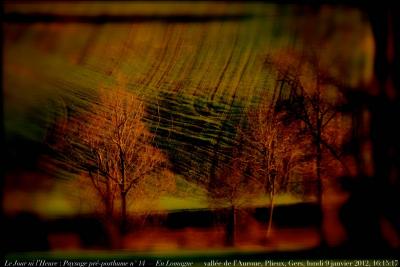 photographie “Le Jour ni l\'Heure 3913 : Paysage pré-posthume n° 14 — En Lomagne — vallée de l\'Auroue, Gers, Gascogne, Midi-Pyrénées, France, lundi 9 janvier 2012, 16:15:17” par Renaud Camus — www.renaud-camus.net — landscape, champs, fields, hiver, winter, preposthumous, Gascony, arbres, trees