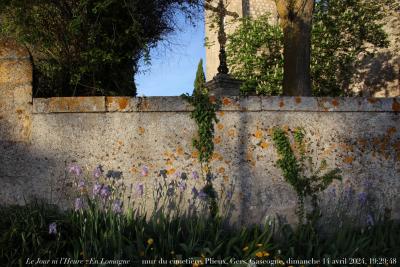 photographie “Le Jour ni l’Heure 4861 : En Lomagne — mur du cimetière, Plieux, Gers, Gascogne, dimanche 14 avril 2024, 19:29:48” par Renaud Camus — www.renaud-camus.net — Plieux, mur du cimetière, église, fleurs, plates-bandes, Lomagne, En Lomagne, Gers, Gascogne