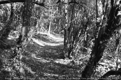 photographie “Le Jour ni l’Heure 9670 : En Lomagne — Le Beau Chemin — Bernet, L’Isle-Bouzon, Gers, Gascogne, samedi 22 octobre 2022, 16:07:03” par Renaud Camus — www.renaud-camus.net — Lomagne, En Lomagne, Bernet, L, Gers, Gascogne, chemin, beau chemin
