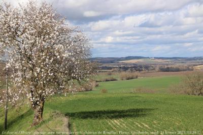 photographie “Le Jour ni l‘Heure 4023 : En Lomagne — paysage avec un prunier et le château de Rouillac, Plieux, Gimbrède, Gers, Gascogne, vendredi 24 février 2023, 14:20:17” par Renaud Camus — www.renaud-camus.net — prunier, paysage avec un prunier, PlieuxGimbrède, Rouillac, château de Rouillac, paysage avec un prunier et le château de Rouillac, Plieux, Gimbrède, Gers, Gascogne, route, 24, février, 2023