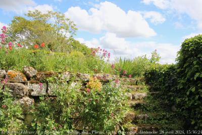 photographie “Le Jour ni l’Heure 5496 : En Lomagne — jardin, dét., Plieux, Gers, Gascogne, dimanche 28 avril 2024, 15:36:24” par Renaud Camus — www.renaud-camus.net — Plieux, jardin, jardin de Plieux, escalier, stairs, fleurs, ciel, Lomagne, En Lomagne, Gers, Gascogne